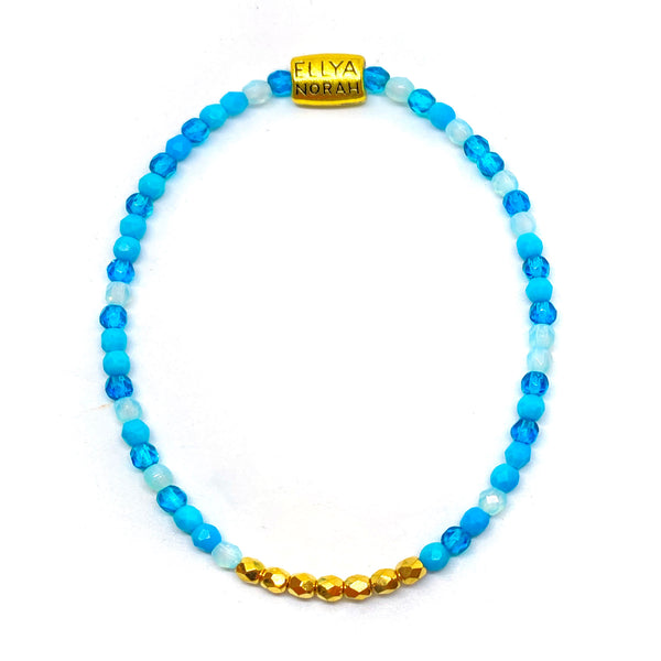 1023 Fiji